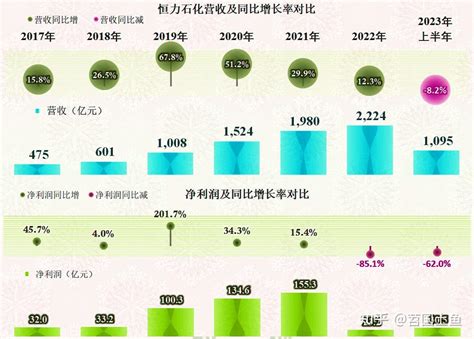 恒力石化的2023年上半年，也只能在行业大潮中随波逐流 知乎