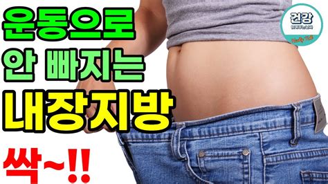 내장지방 이렇게 해야 빠짐 내장지방 소멸시키는 5가지 음식 올챙이배 쏙 들어가는 놀라운 방법 5가지 Youtube