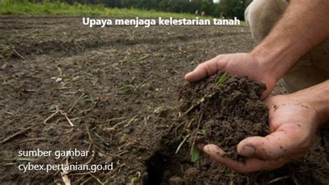 Upaya Menjaga Kelestarian Tanah