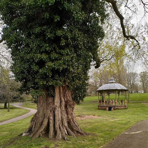 Black Poplar And Bandstand Handsworth A J Paxton Cc By Sa