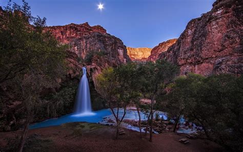 Download Tree Canyon Waterfall Nature Havasu Falls Hd Wallpaper