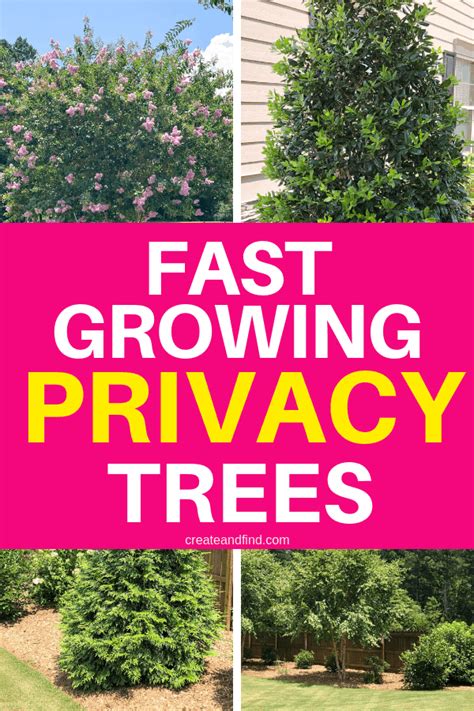 Fast growing privacy trees – Artofit