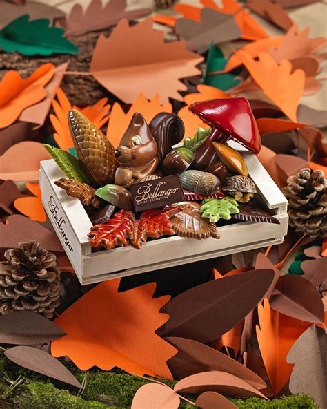 Cagette D Automne Chocolaterie Bellanger Magasin Chocolat Chocolat