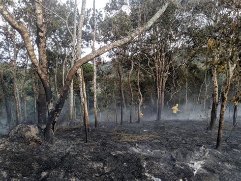 Bombeiros e brigadistas combatem incêndio no Pico da Ibituruna em