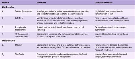 Micronutrients: Vitamins & Minerals | Basicmedical Key