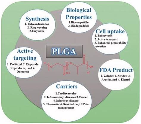 New PLGA Based Drug Delivery Systems For In Vitro And In Vivo