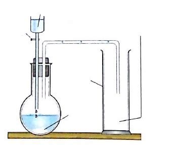 Preparation Of Carbon Dioxide Diagram Quizlet