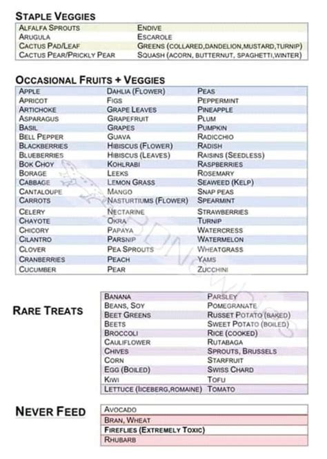 Daily Routine Printable Bearded Dragon Food Chart