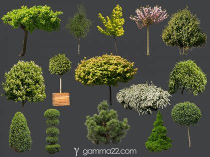 Trees Archives • Blender 3D Architect