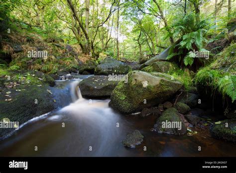 Padley Gorge; Derbyshire; UK Stock Photo - Alamy