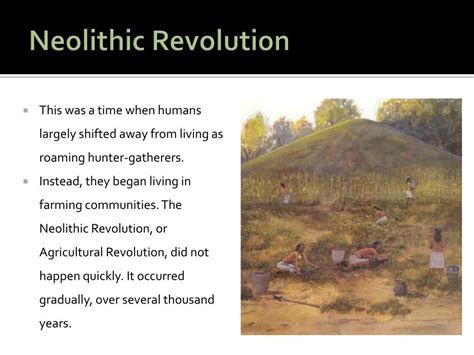 Why Did The Neolithic Revolution Happen Why Was The Neolithic