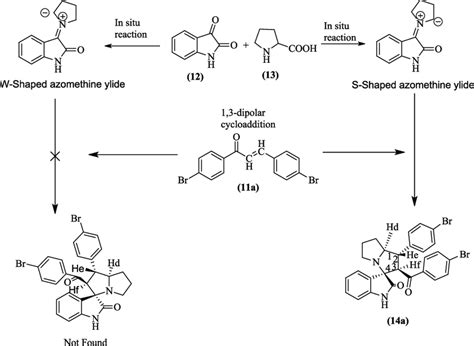 Formation Of S Shaped And W Shaped Azomethine Ylides And Their