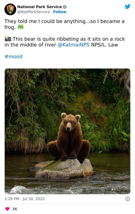 National Park Service Hired The Perfect Social Media Person As Their