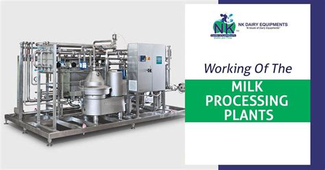 A Milk Processing Plant With The Words Working Of The Milk Processing