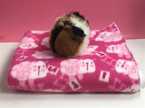 Guinea Pig Fleece Bedding Amazon - sassydiarypost