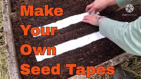 Tips And Techniques For Planting Carrots Making A Homemade Seed Tape