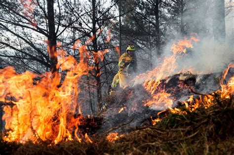 Los incendios arrasaron en febrero una superficie de más de 6 000