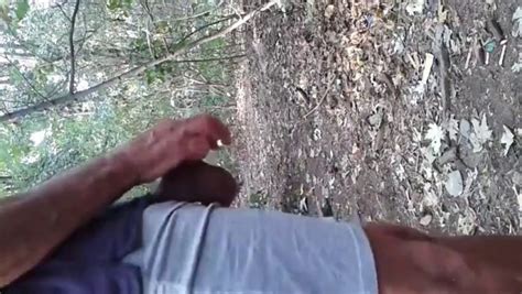 Cruising Woods Cruising Nel Bosco Slut Wife Gay Porn Roreror