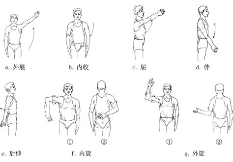 八、骨科功能锻炼 临床护理操作 医学