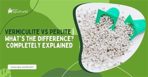 Vermiculite vs Perlite | What's the Difference? Completely Explained