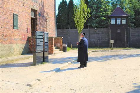 Auschwitz: Guided Tour (Ticket Entrance Option) | GetYourGuide