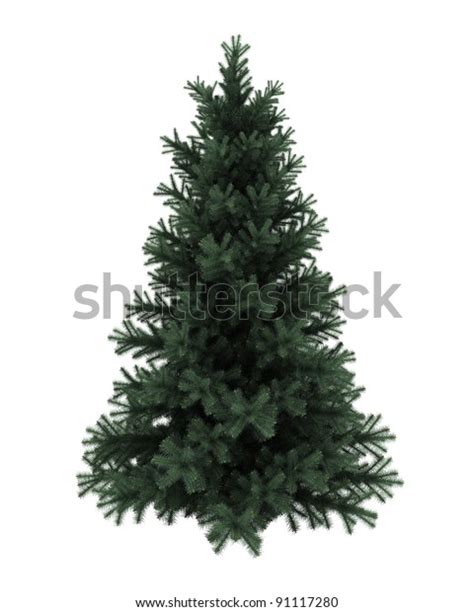 Alpine Fir Tree Isolated On White Stock Illustration 91117280