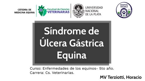 Sindrome de úlcera gástrica equina by Cuervo X on Prezi