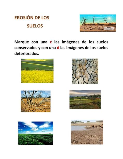 La erosion de los suelos worksheet Erosión del suelo Ciencias de la