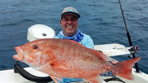 Red Snapper Are On The Reefs And Kingfish Are Close To The Beach