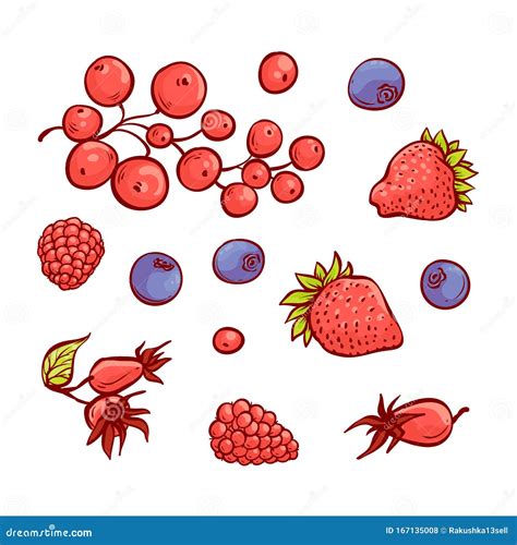 Vector Fruits And Berries Sketch Set Collection Hand Drawn