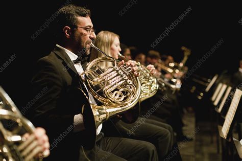 French horn players in orchestra - Stock Image - F004/4661 - Science ...