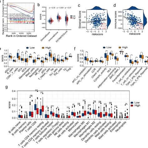 Evaluation Of Immune Cell Infiltration A Multiple Significant