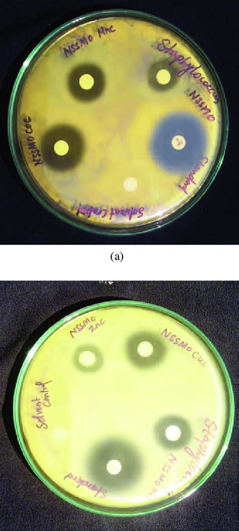 A Zone Of Inhibition For The Ligand Nssmo Against Staphylococcus