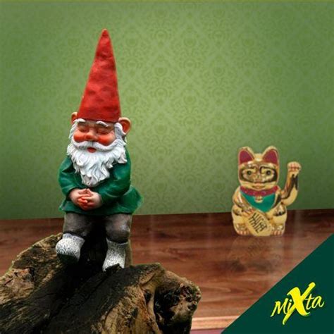 Gnomo Y Gato De Mixta Gnomos Gatos