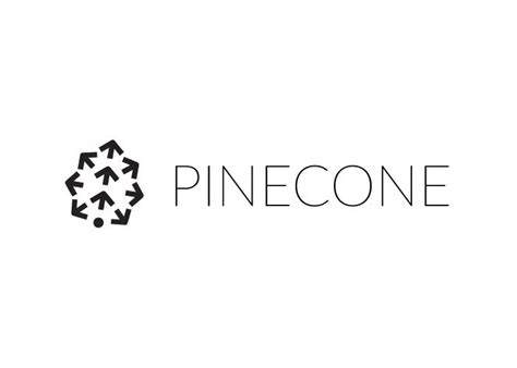 Pinecone Revolutionizes Vector Databases With New Serverless