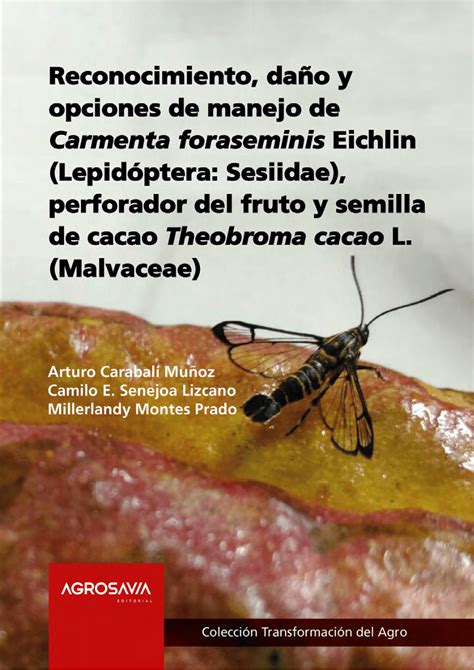 Pdf Reconocimiento Daño Y Opciones De Manejo De Carmenta Foraseminis