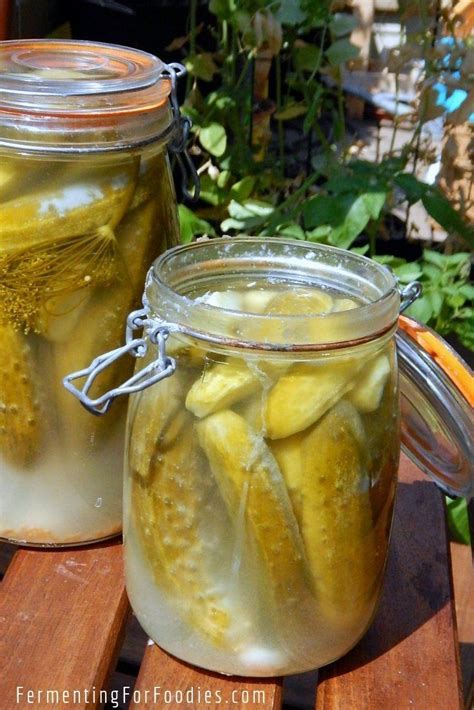 Traditional Lacto Fermented Pickles Artofit