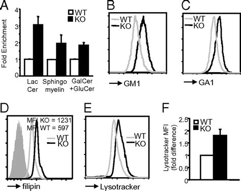 Transcription Factor Bcl11b Controls Selection Of Invariant Natural