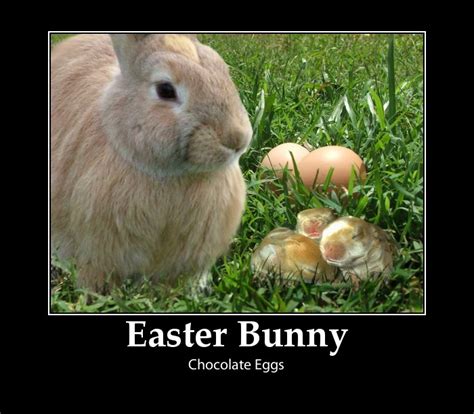 Funny Easter Pictures 2018- Dr. Odd