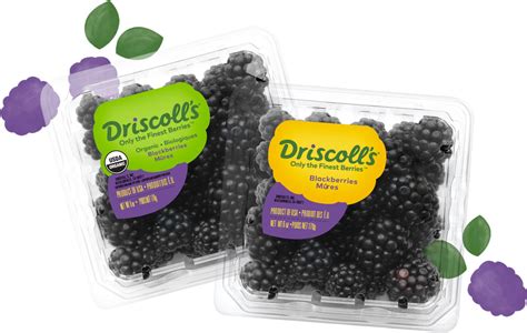 Brand New New Logo And Packaging For Driscoll S By Pearlfisher