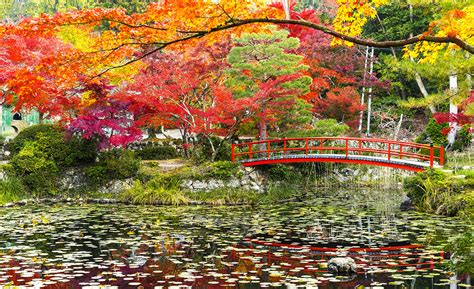 京都の紅葉“穴場”スポット西京編①紫式部も愛した♪京都西山の紅葉 とっておきの京都プロジェクト