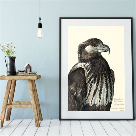 Eagle Vintage Bird Print Natural History Bird Art Illustration Print