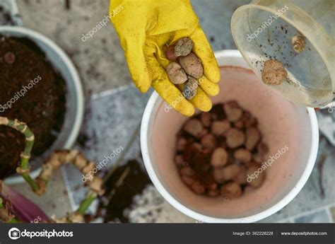 Рука льет камушек дренаж на дно горшка — Стоковое фото © erstudio ...