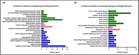 Antibiotics Free Full Text High Throughput Transcriptomic Profiling