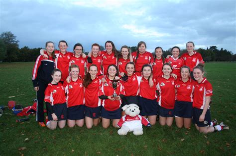 Team Information Camogie St Brigids Gaa