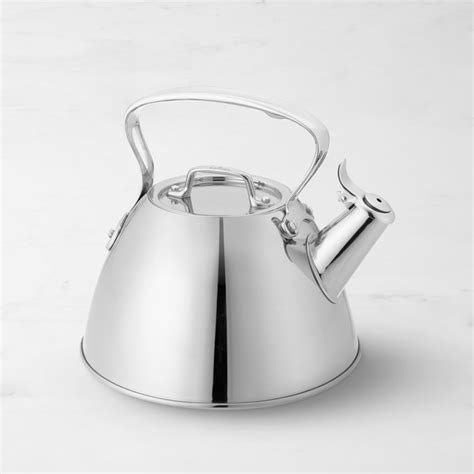 All-Clad Stainless-Steel Tea Kettle | Williams Sonoma