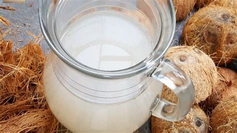 Homemade Sur / Coconut Toddy Recipe - BFT .. for the love of Food.