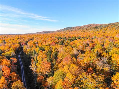 Weekly Maine Foliage Reports