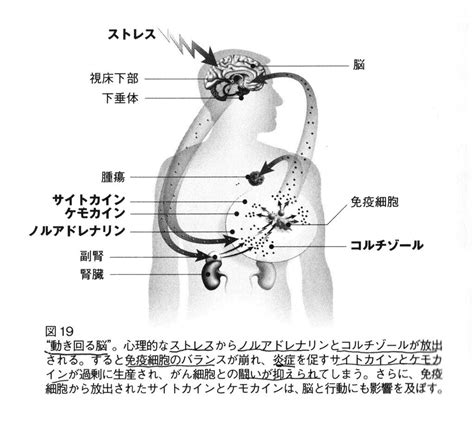 サイモントン療法とは？7 残る桜も 散る桜ー膵臓がん完治の記録