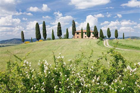 Farm House With Cypress Trees Near License Image 71073304 Lookphotos